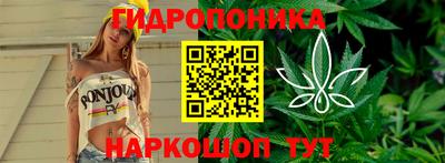 стаф Ипатово